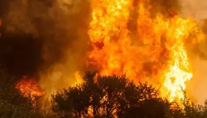 Polémica en Chile por un incendio forestal que ya arrasa más de 11.500 hectáreas